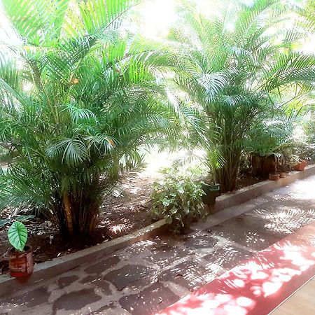 Palitha Homestay Sigiriya Eksteriør billede
