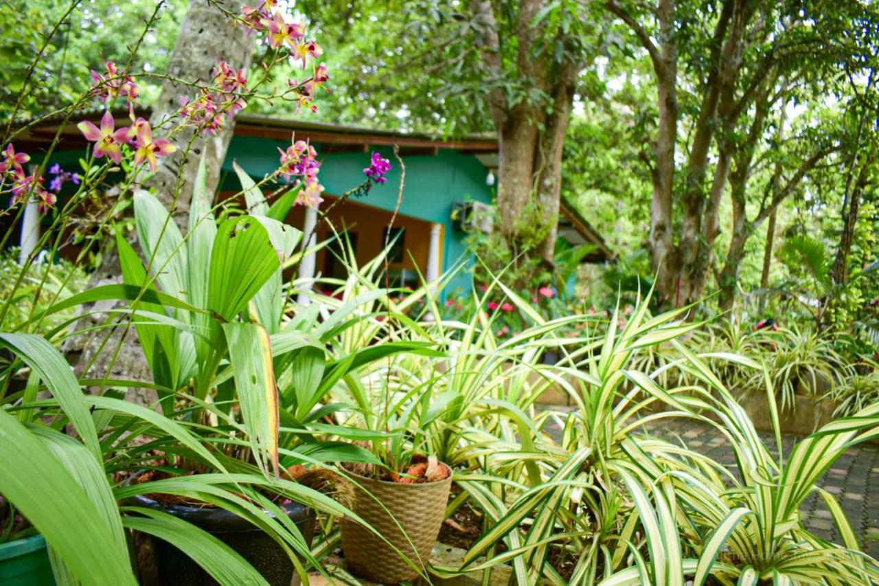 Palitha Homestay Sigiriya Eksteriør billede