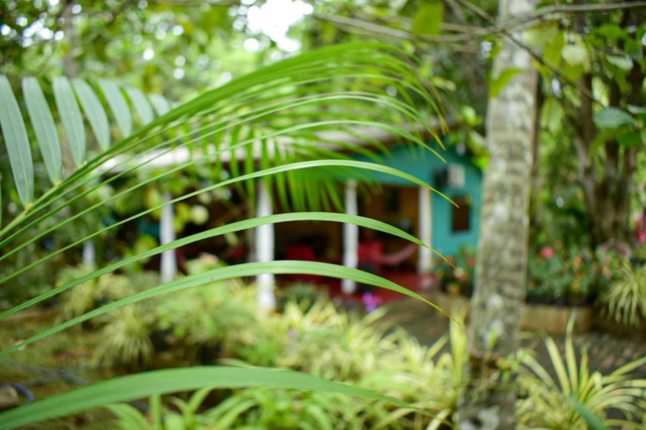 Palitha Homestay Sigiriya Eksteriør billede