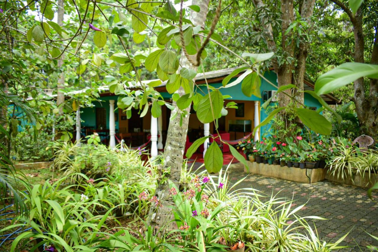 Palitha Homestay Sigiriya Eksteriør billede