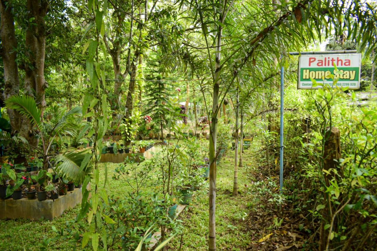 Palitha Homestay Sigiriya Eksteriør billede
