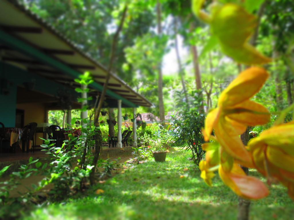 Palitha Homestay Sigiriya Eksteriør billede