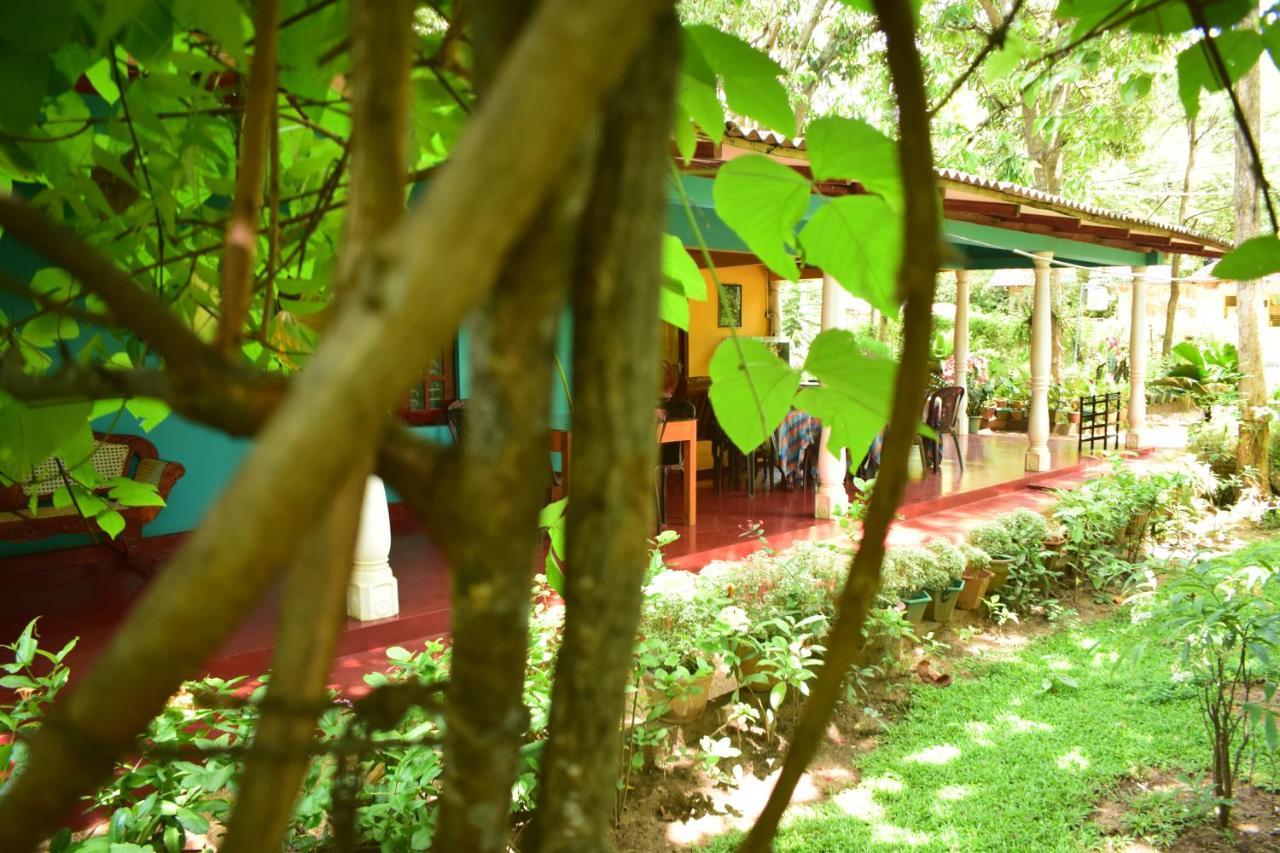 Palitha Homestay Sigiriya Eksteriør billede