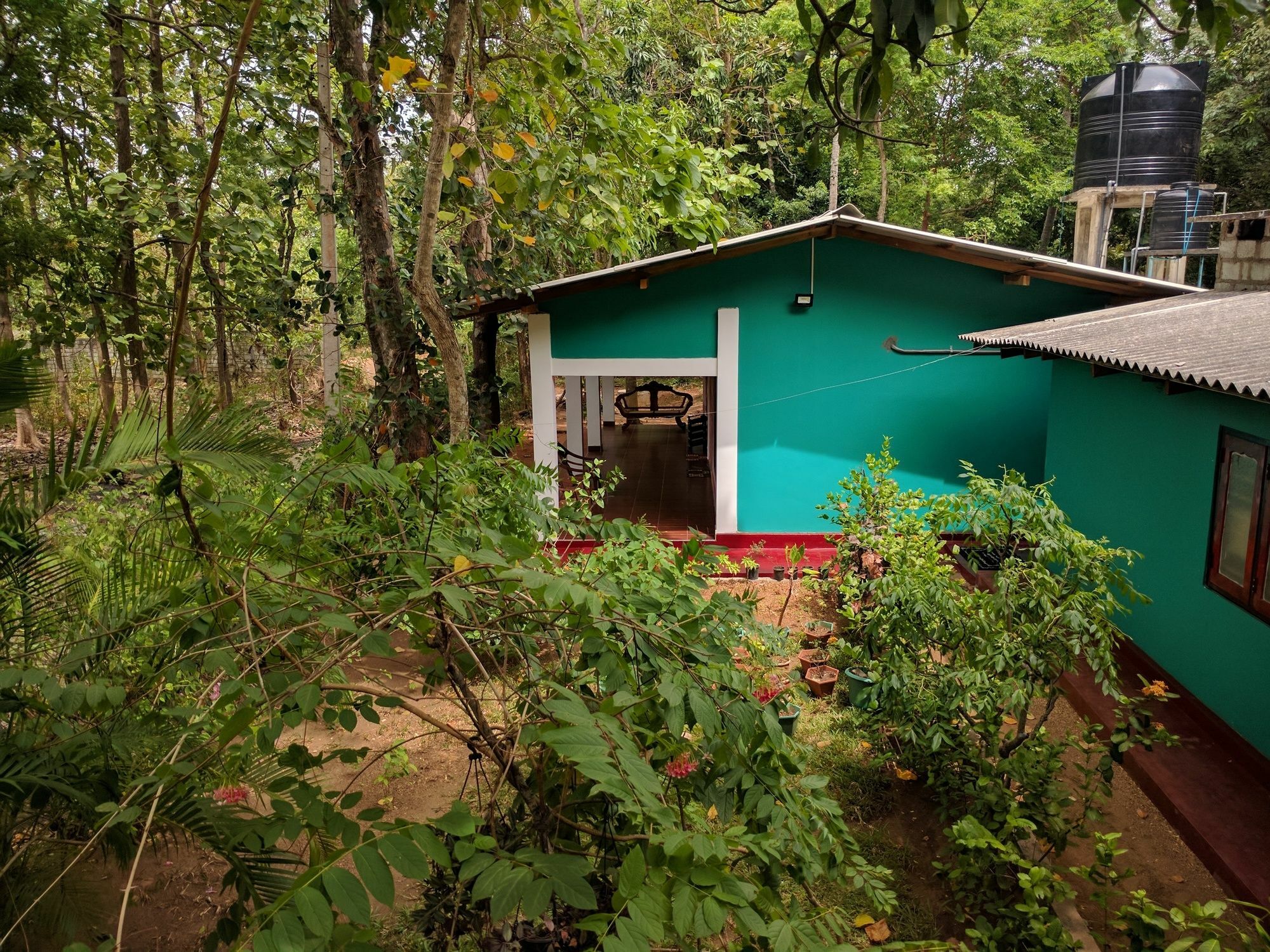 Palitha Homestay Sigiriya Eksteriør billede