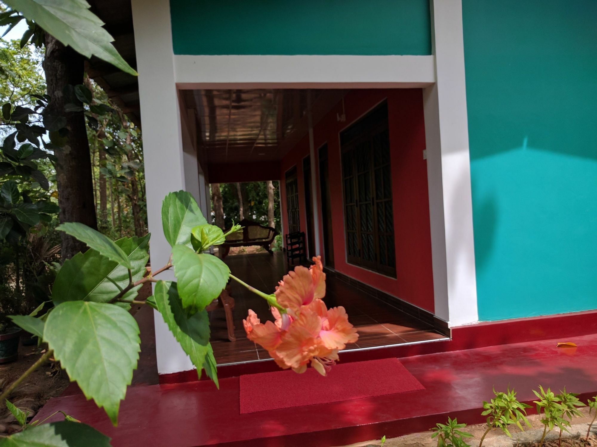 Palitha Homestay Sigiriya Eksteriør billede